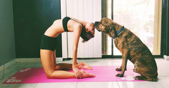 5 Formas Novedosas y Poco Comunes de Practicar Yoga Que Todos Pueden Disfrutar